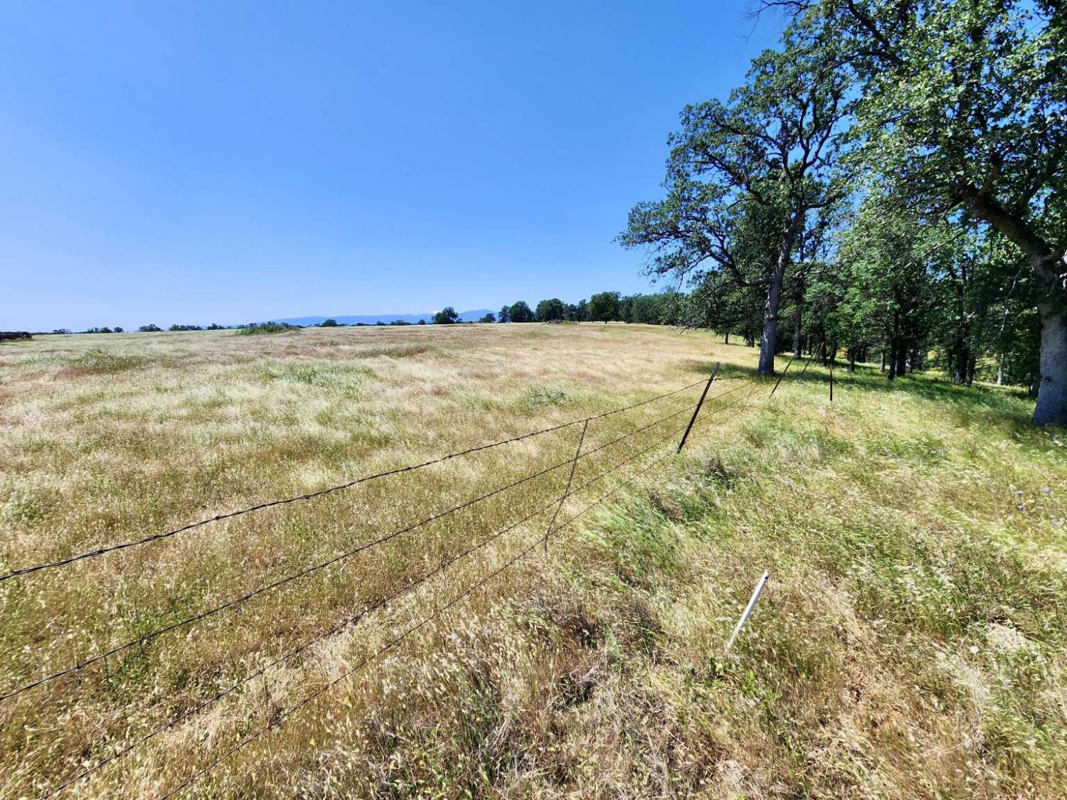 Two Feathers Road, Cottonwood, California image 16
