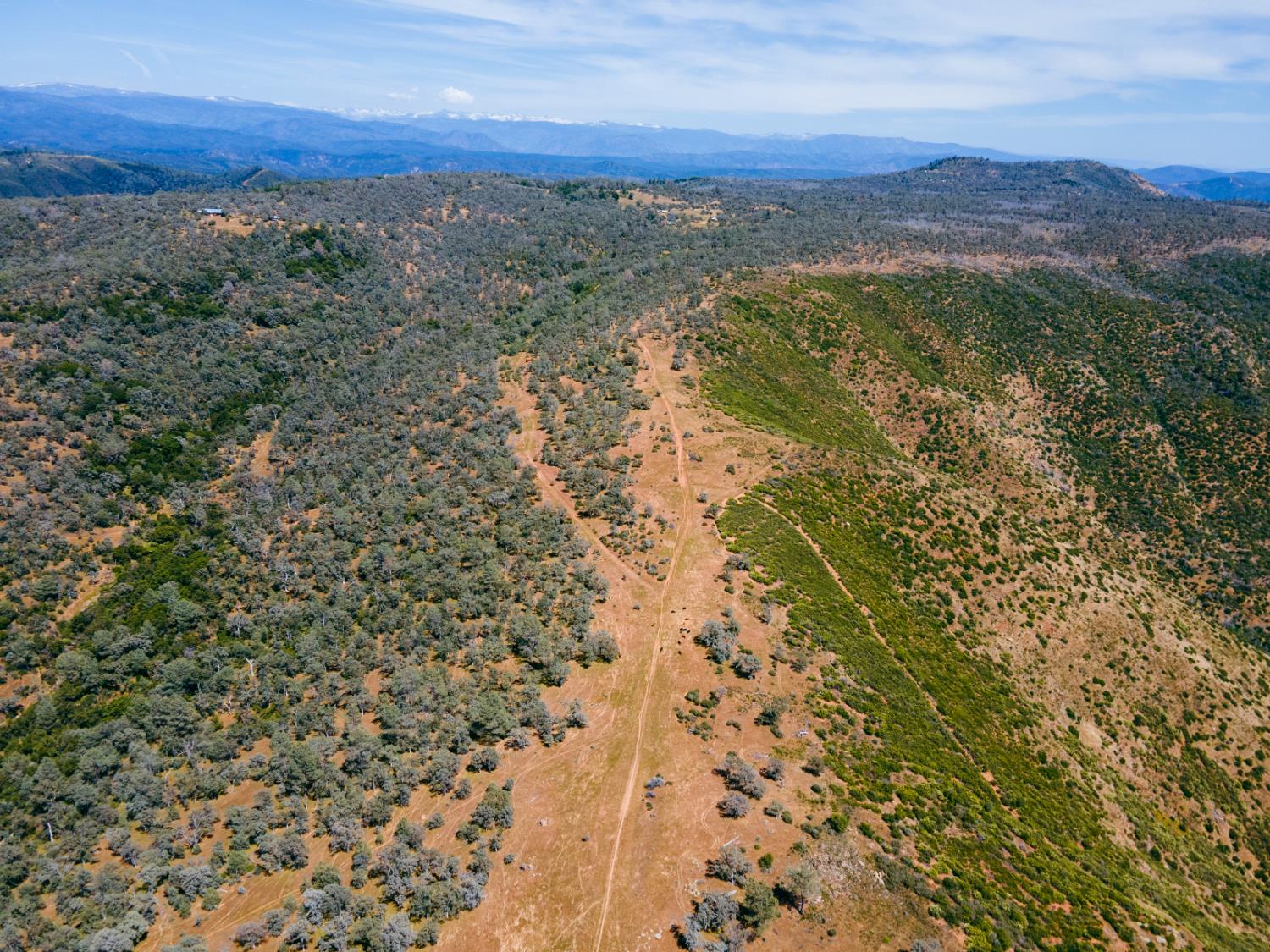 Schilling Road, Coulterville, California image 3