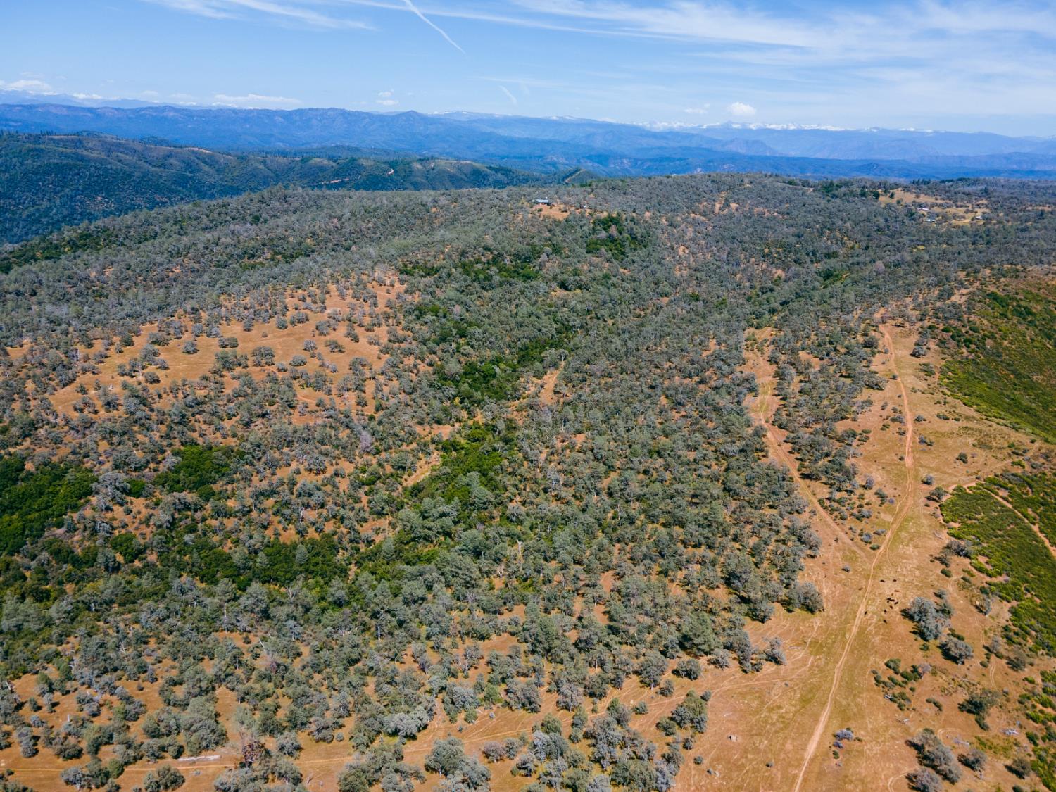 Schilling Road, Coulterville, California image 4