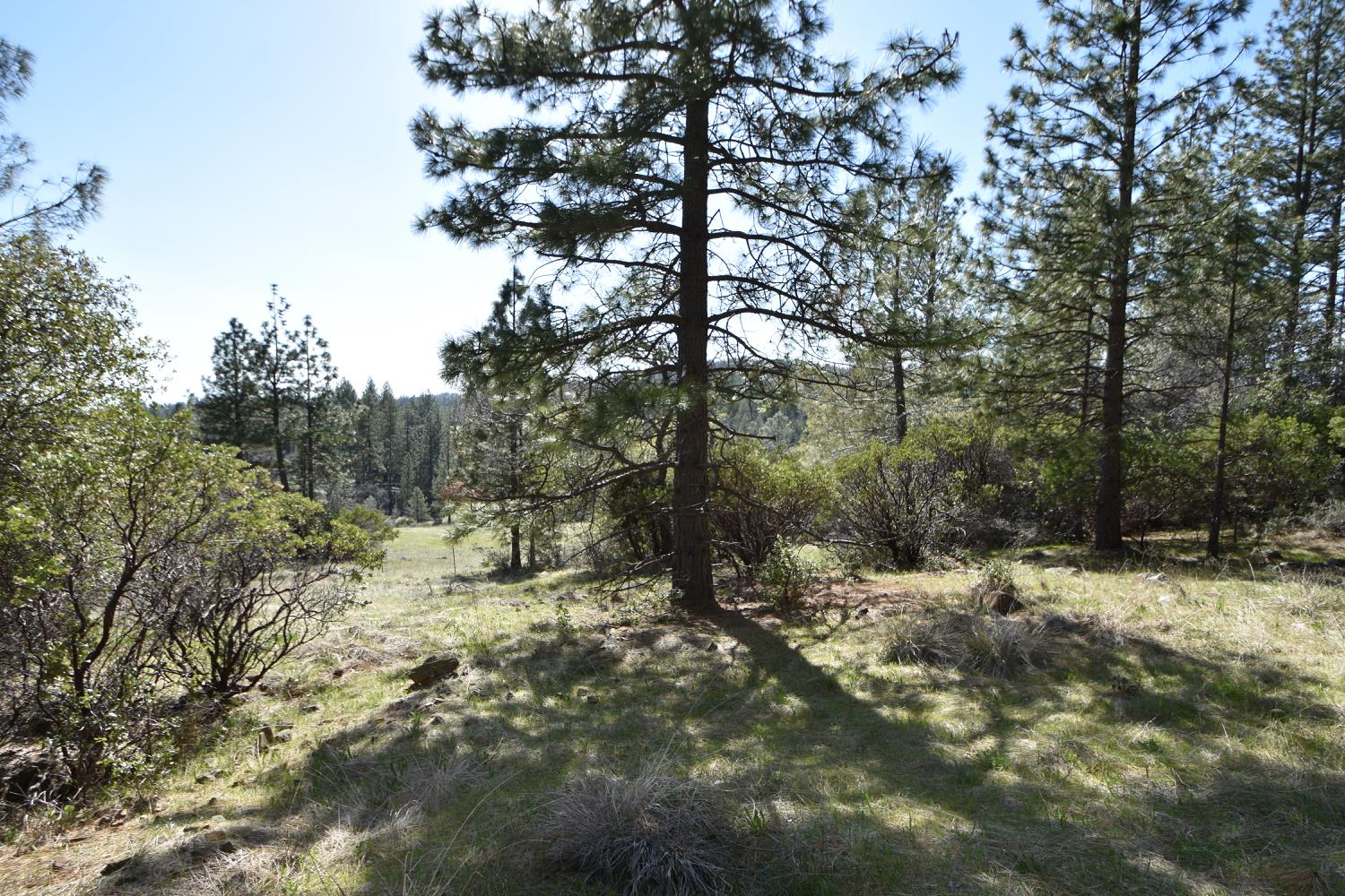 Provenza Drive, Oroville, California image 8