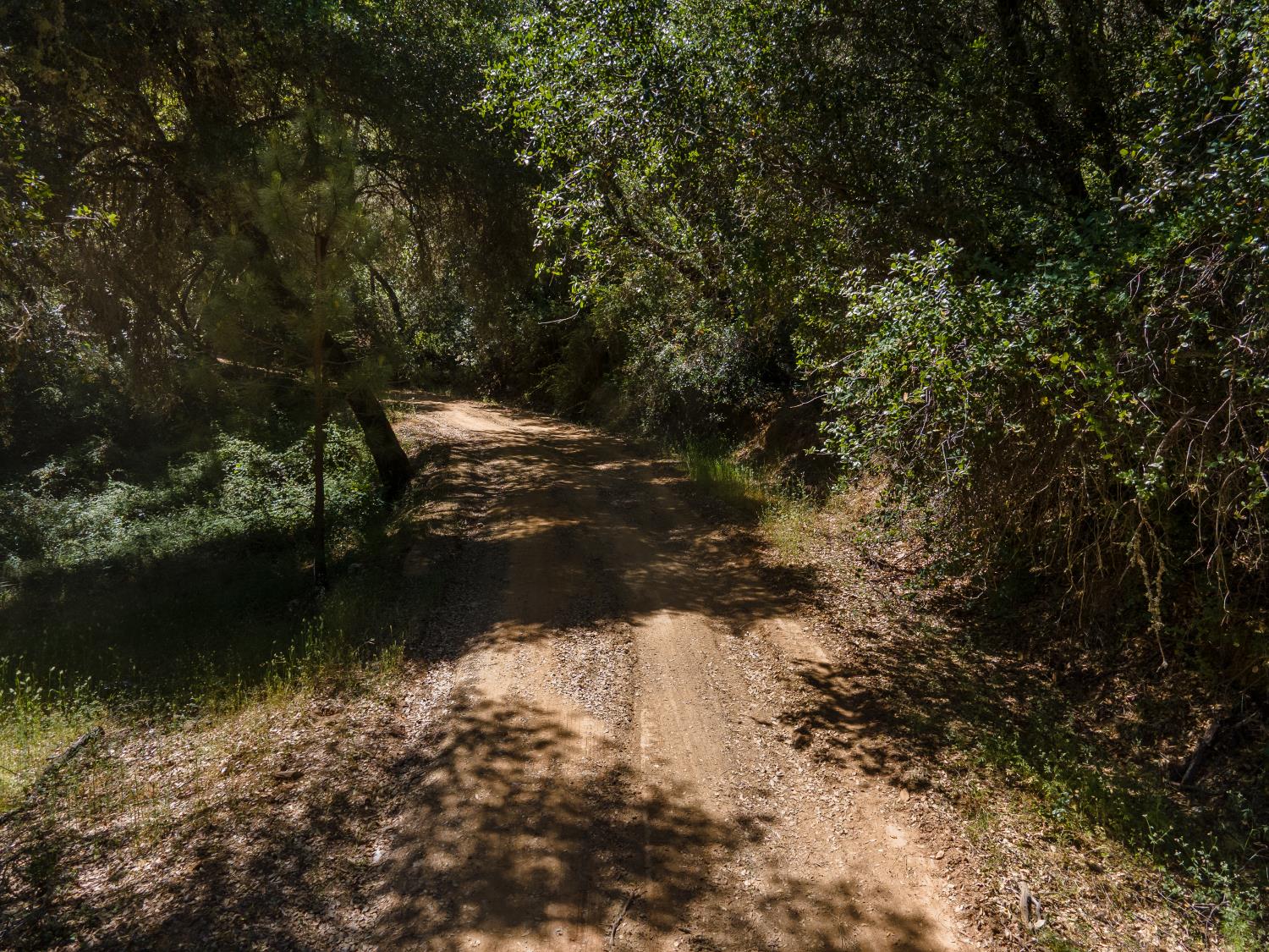 Riverfront Trail, El Dorado, California image 13