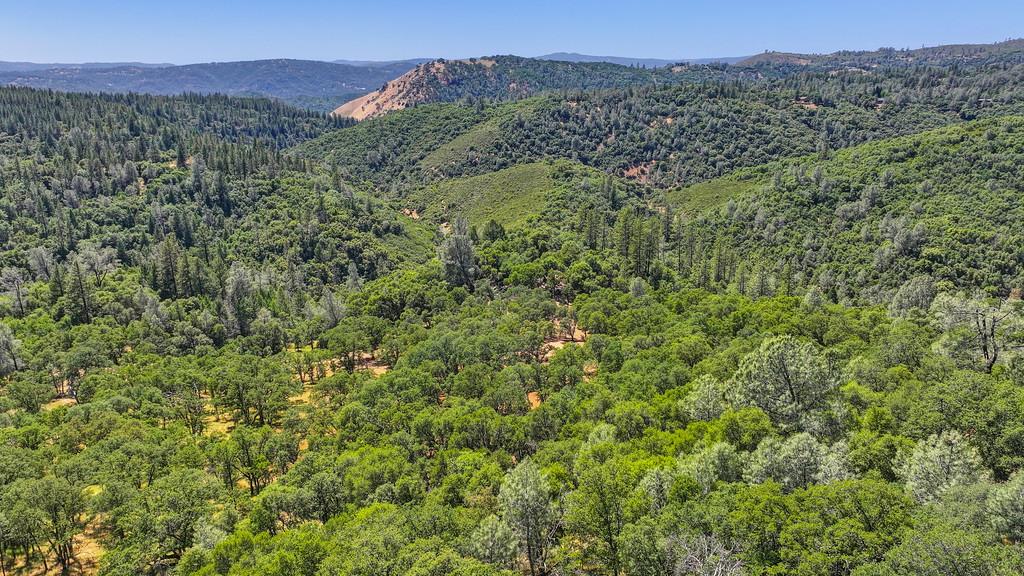Garden Park Drive, Garden Valley, California image 20