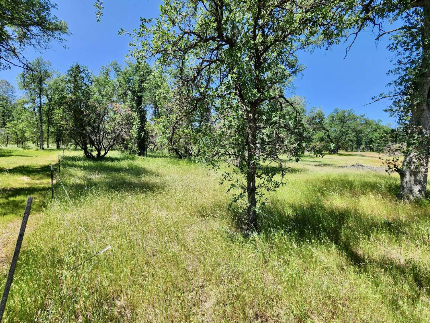 Two Feathers Road, Cottonwood, California image 24