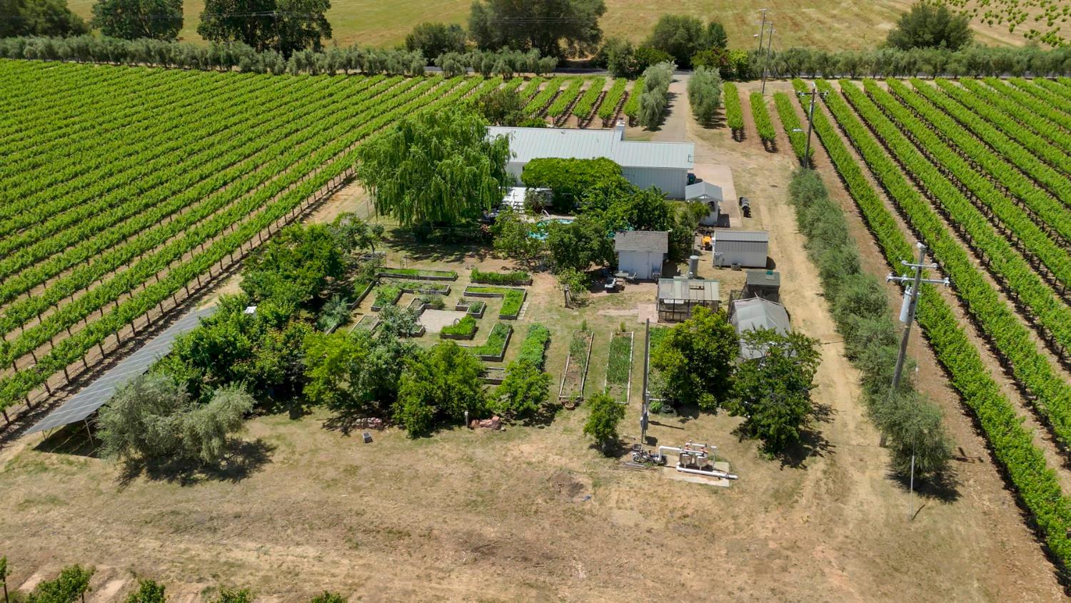 N Linn, Acampo, California image 37
