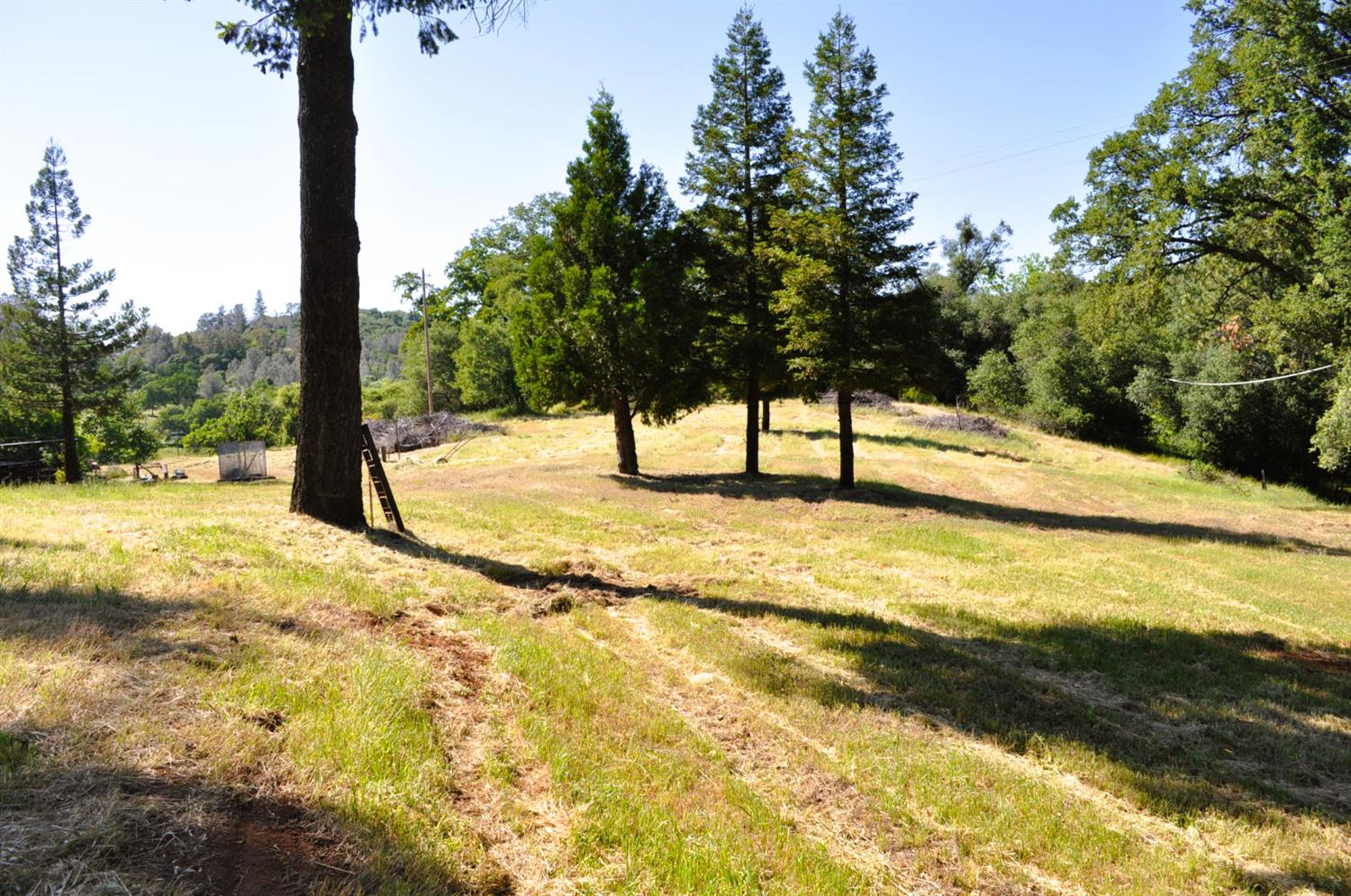 Magic Morgan Trail, Cool, California image 10