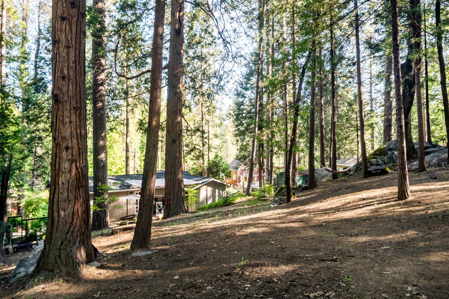 Grove Street, Nevada City, California image 24
