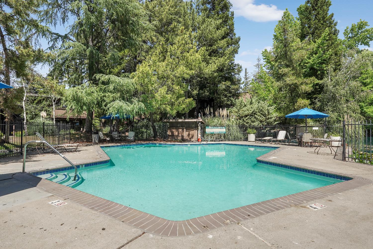 Photo #31: 225067869 Listing: Photo #31