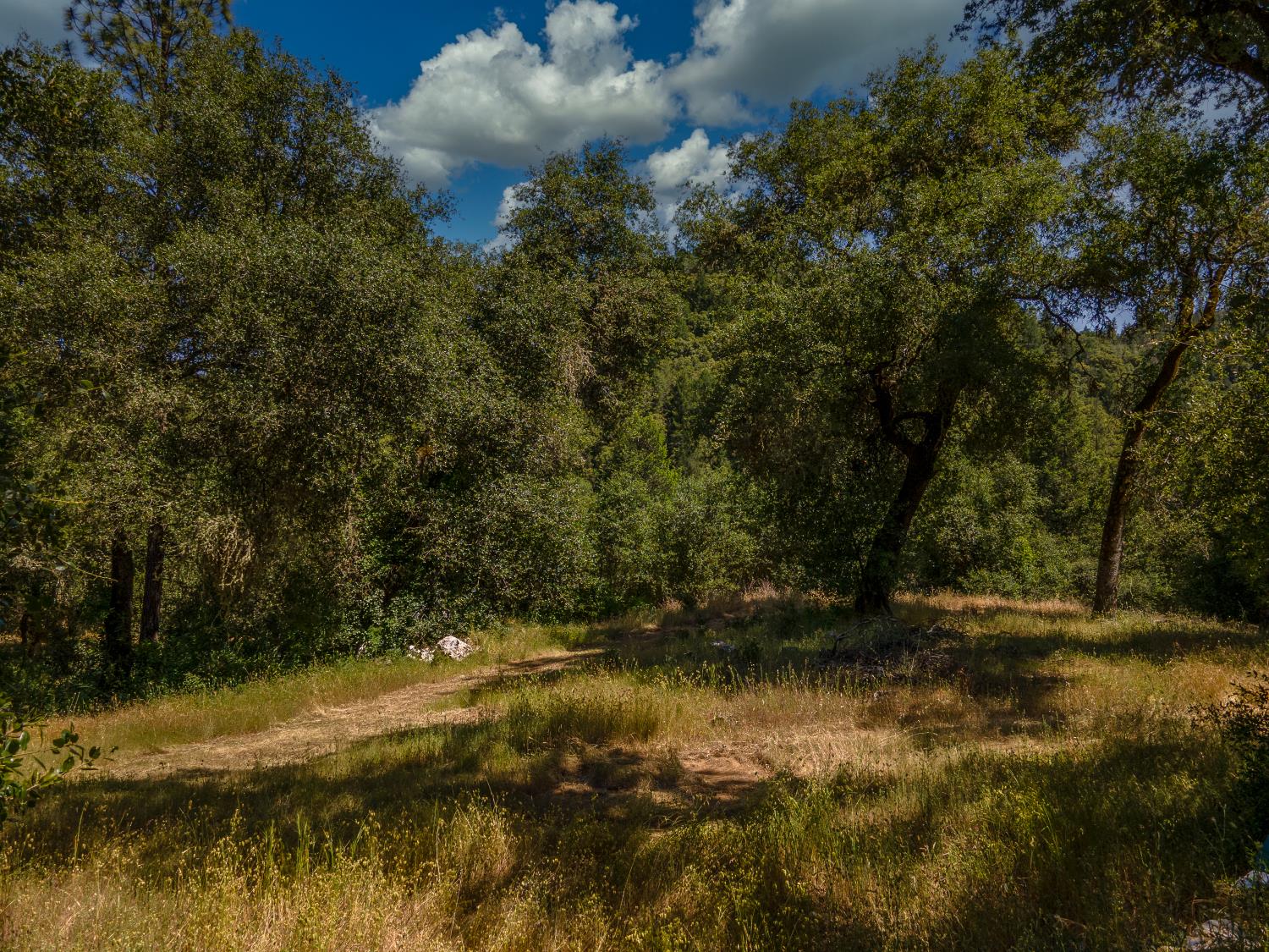 Riverfront Trail, El Dorado, California image 10