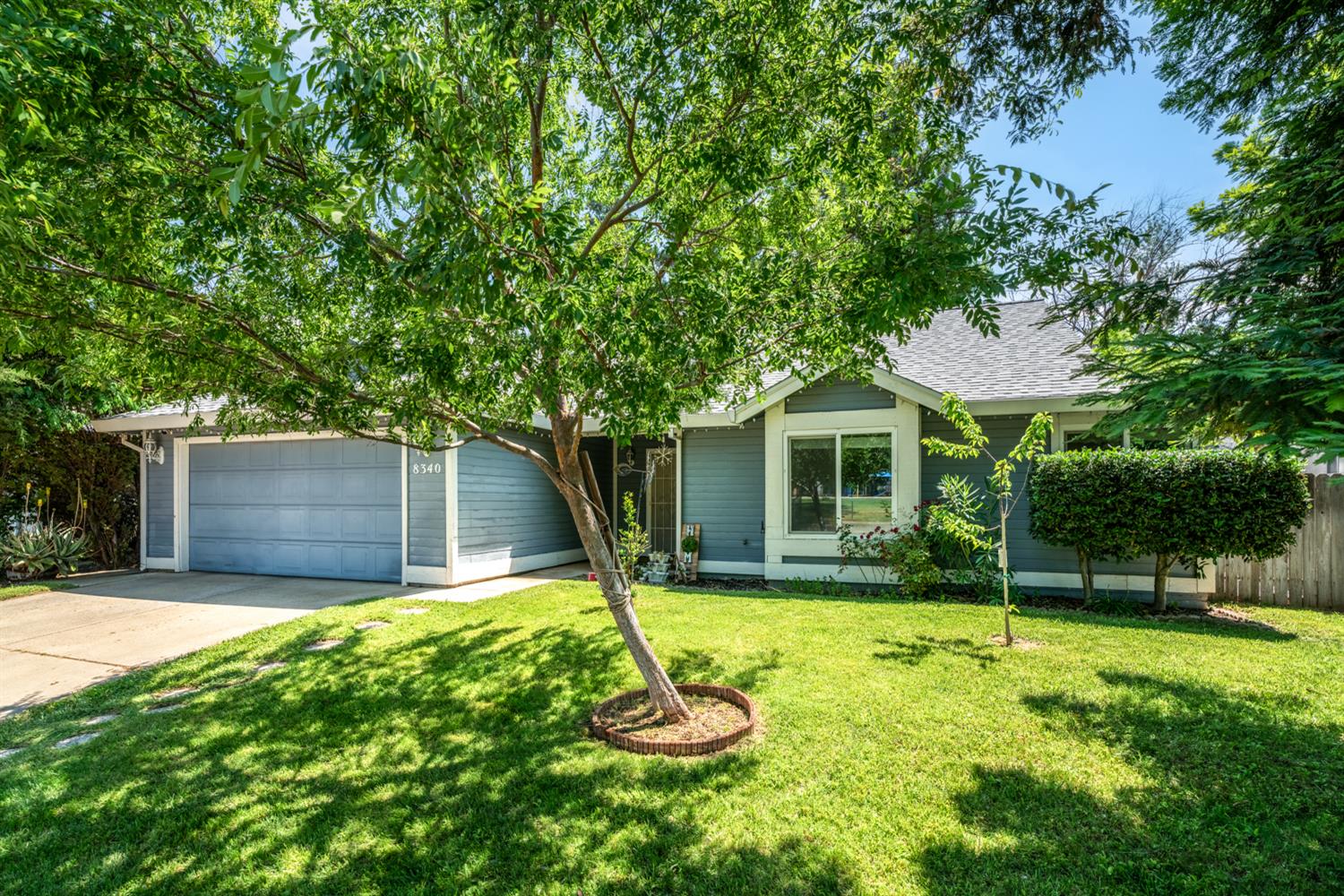 Lichen Drive, Citrus Heights, California image 2