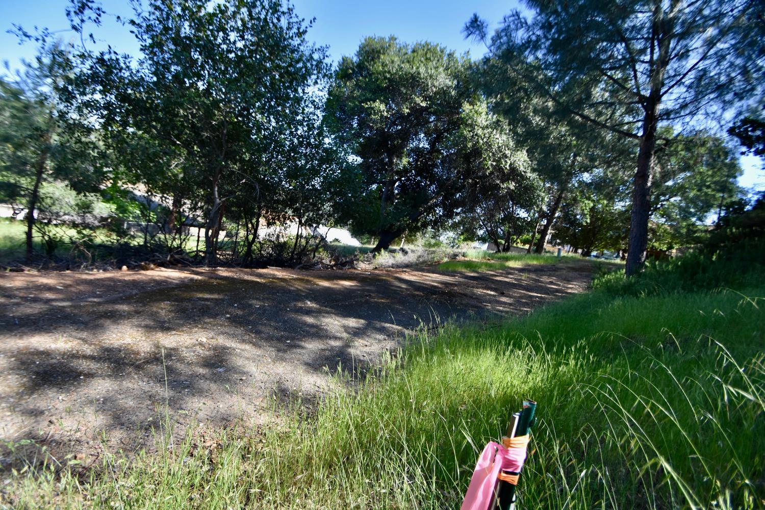 Jack Hill Drive, Oroville, California image 9