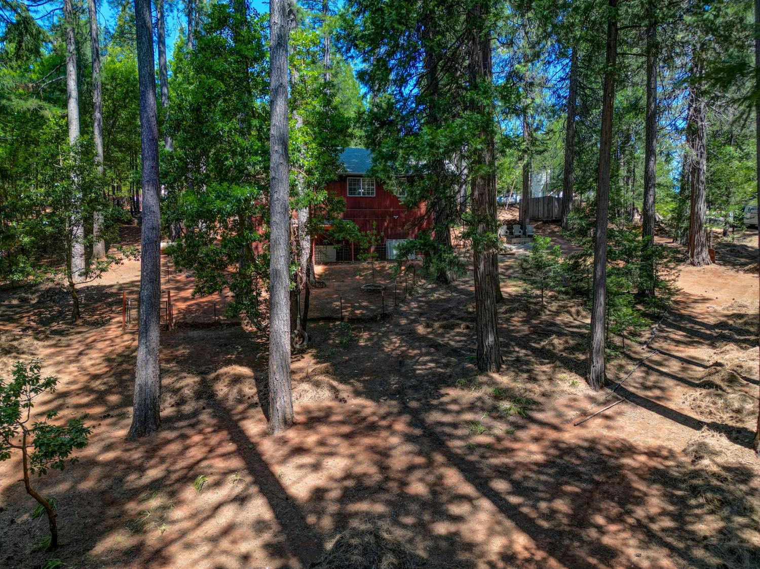 Forest Knoll Court, Pioneer, California image 15