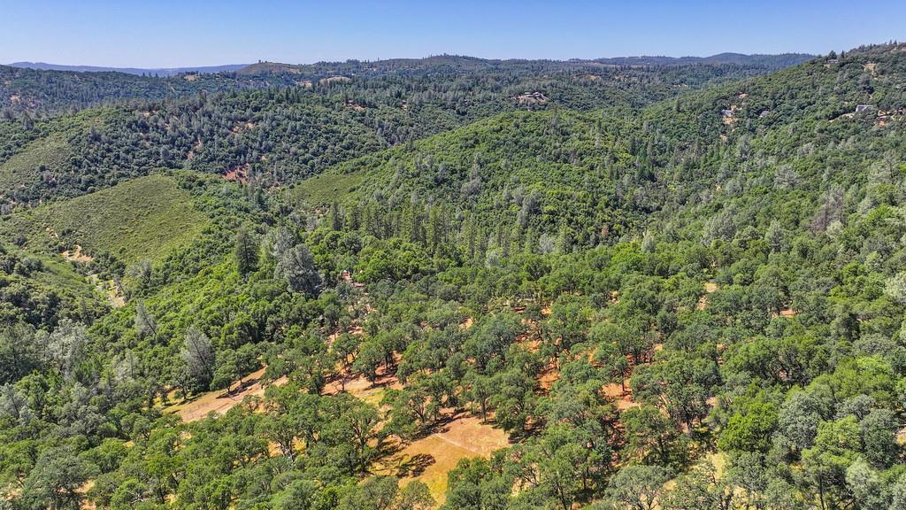 Garden Park Drive, Garden Valley, California image 19