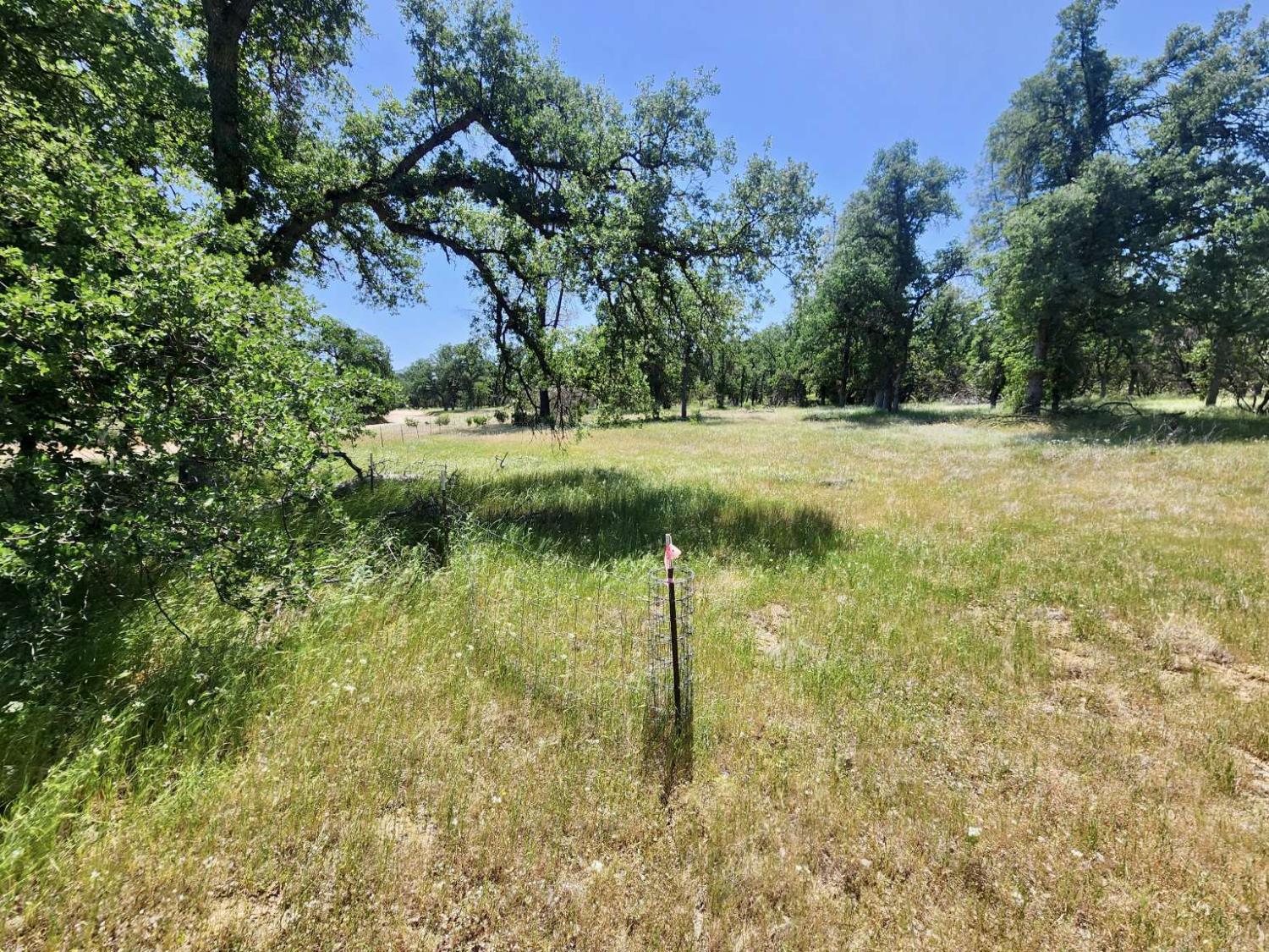 Two Feathers Road, Cottonwood, California image 4