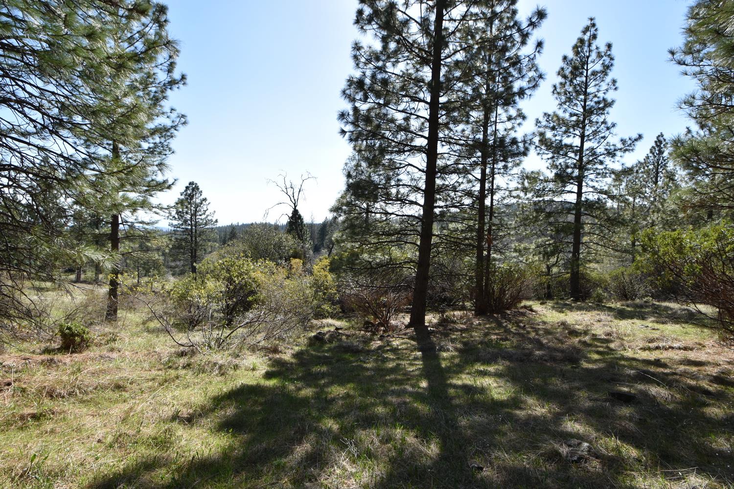 Provenza Drive, Oroville, California image 9
