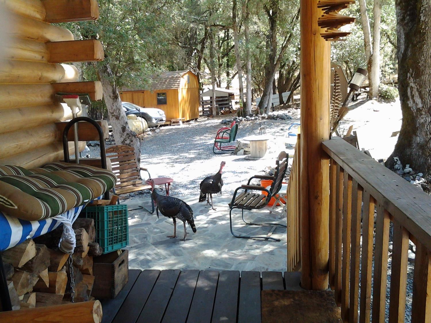 Hidden Valley Road, Mountain Ranch, California image 39