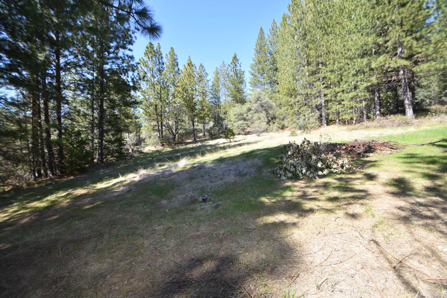 Provenza Drive, Oroville, California image 30