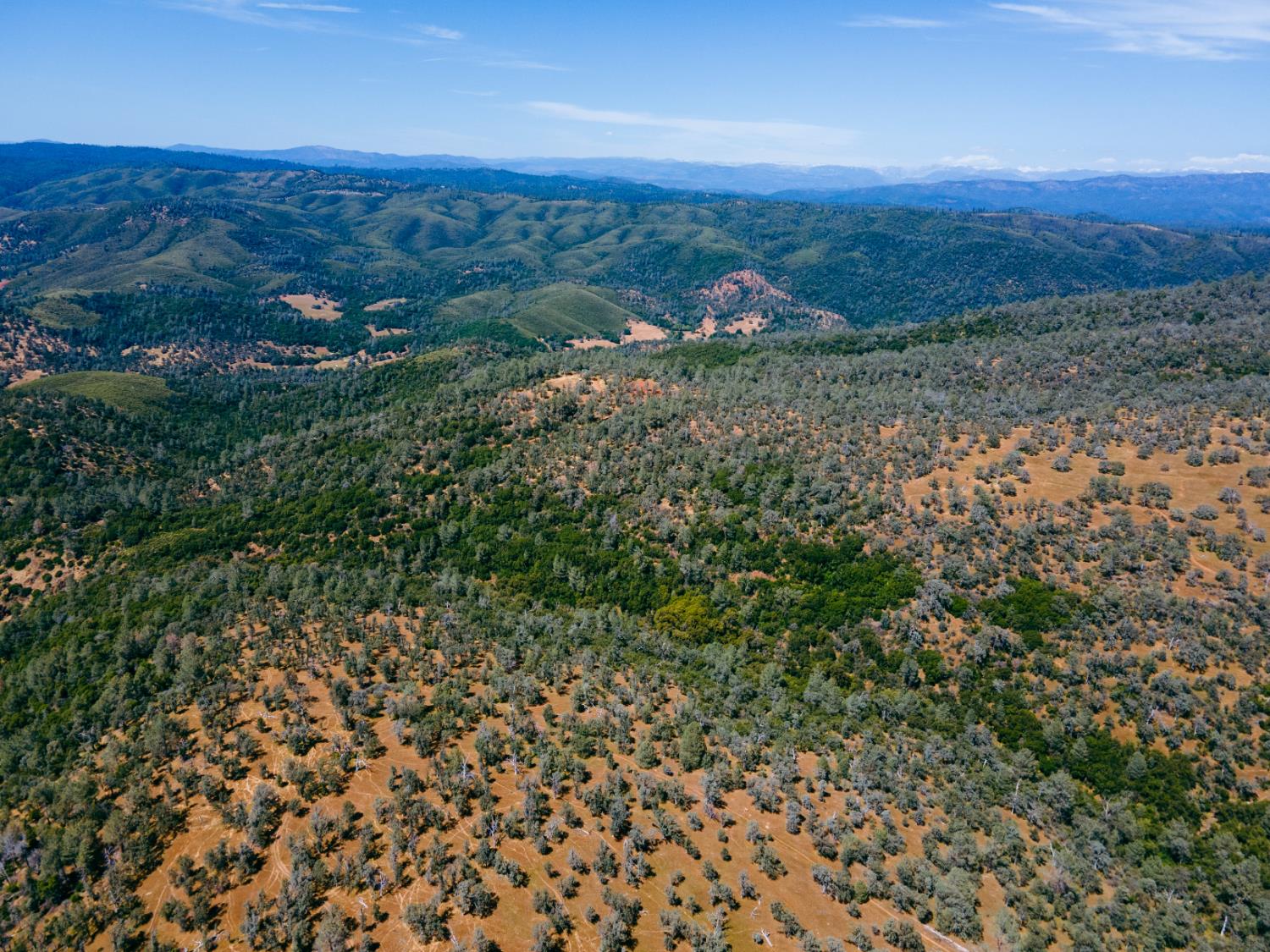 Schilling Road, Coulterville, California image 5
