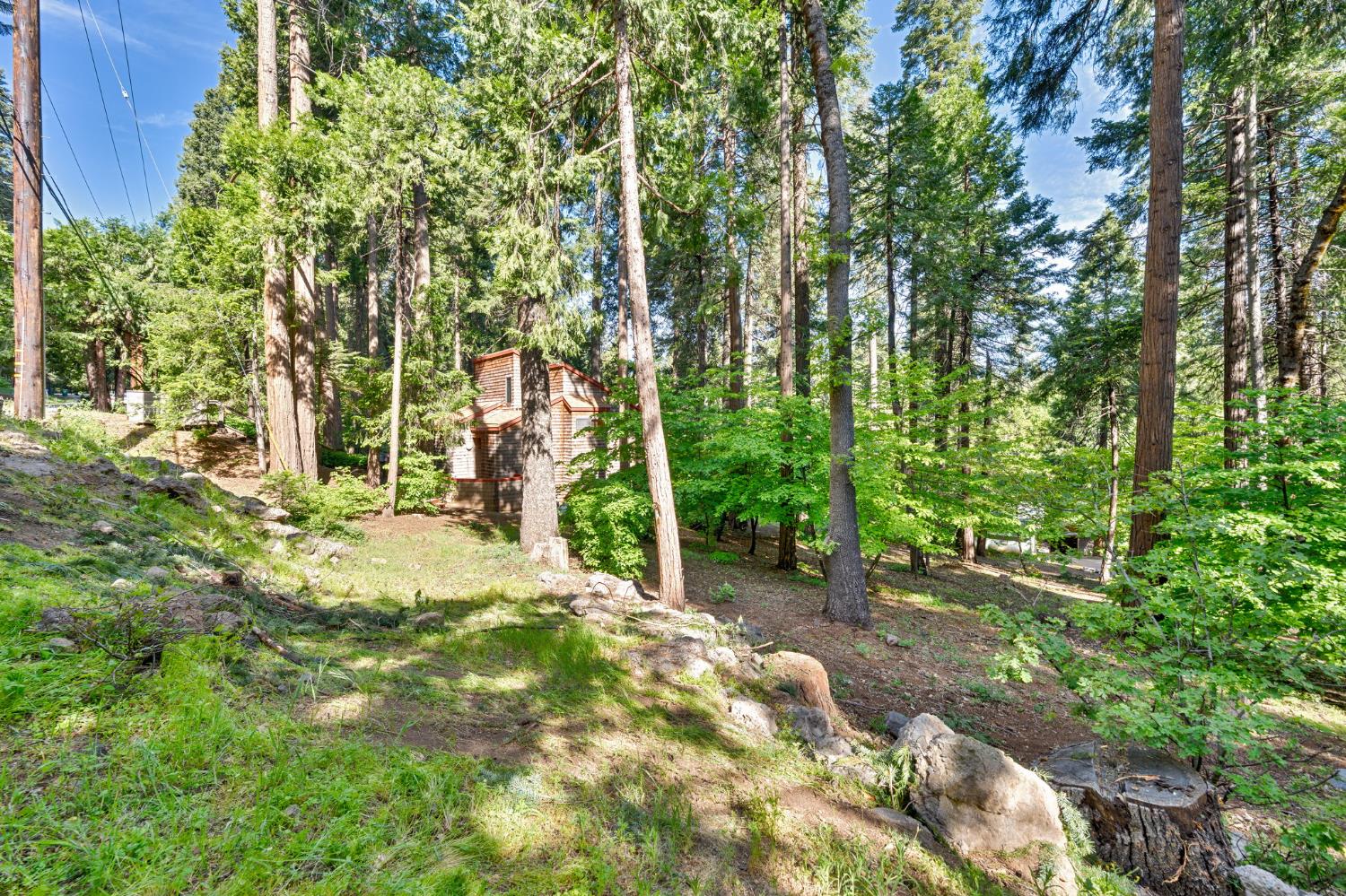 Onyx Trail, Pollock Pines, California image 30