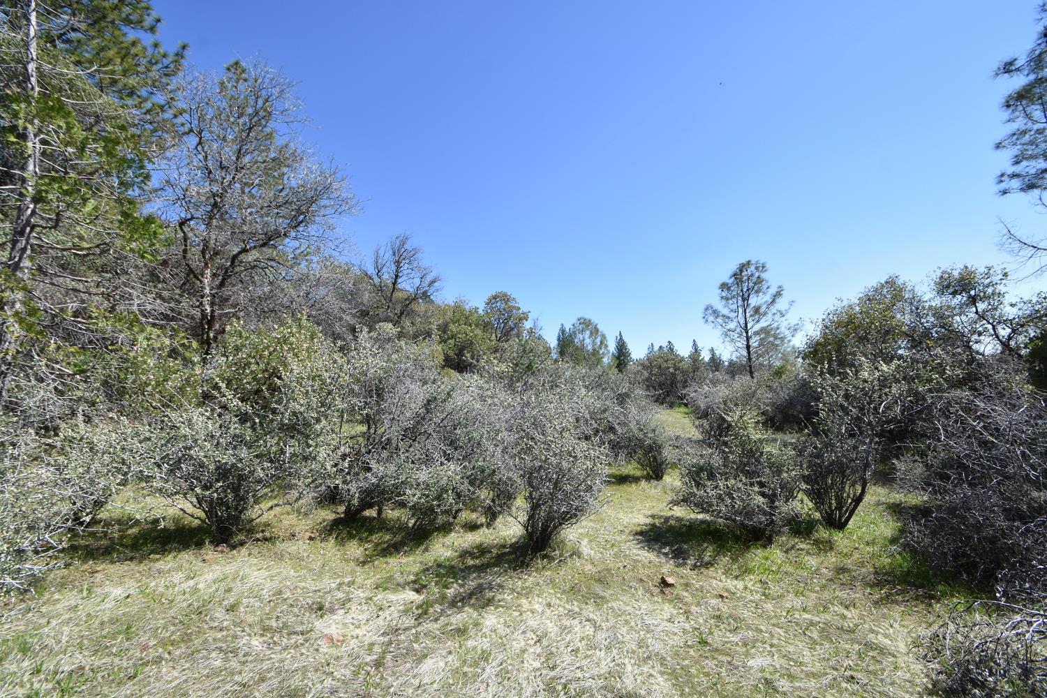 Provenza Drive, Oroville, California image 48