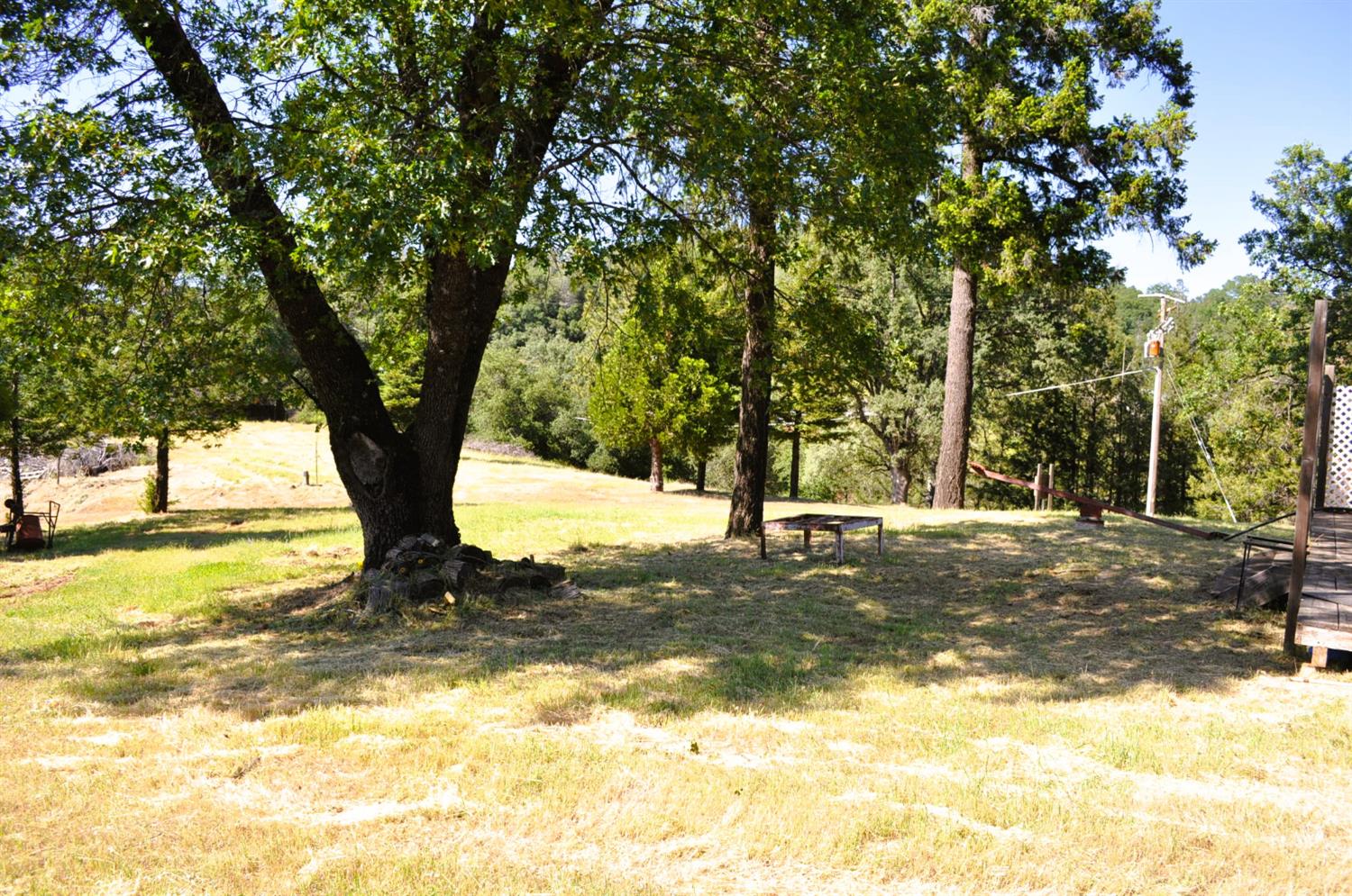 Magic Morgan Trail, Cool, California image 8