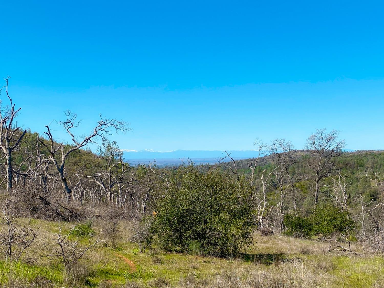 Stoney Oaks Boulevard, Oroville, California image 36