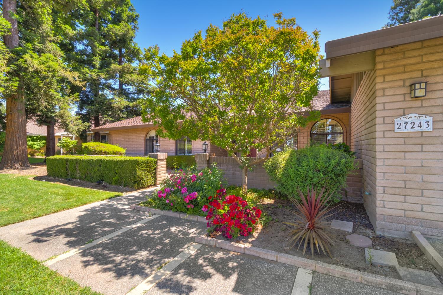 E El Macero Drive, El Macero, California image 5