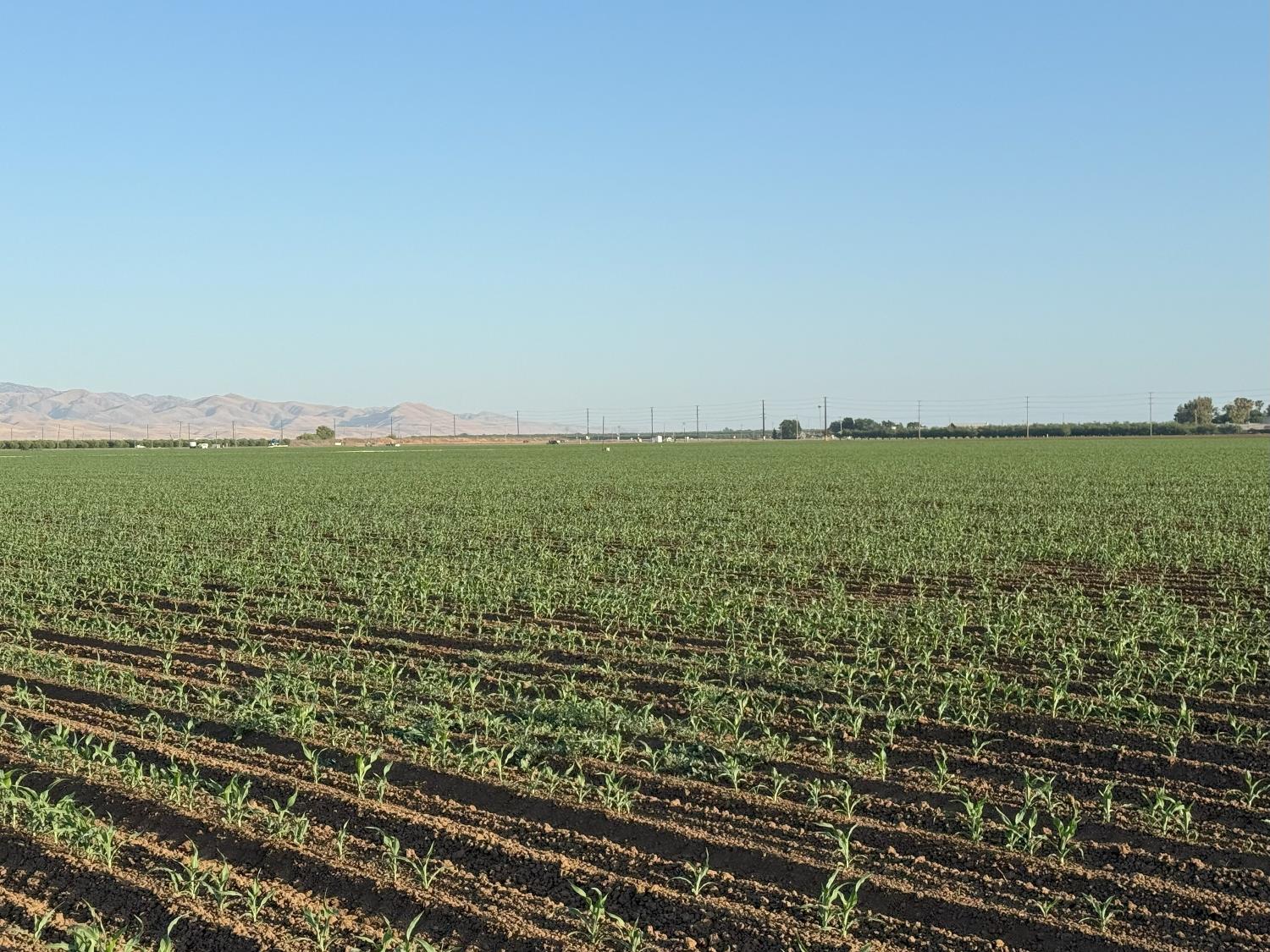 Ca-33, Crows Landing, California image 28
