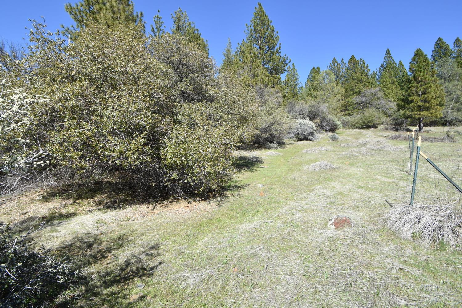 Provenza Drive, Oroville, California image 47