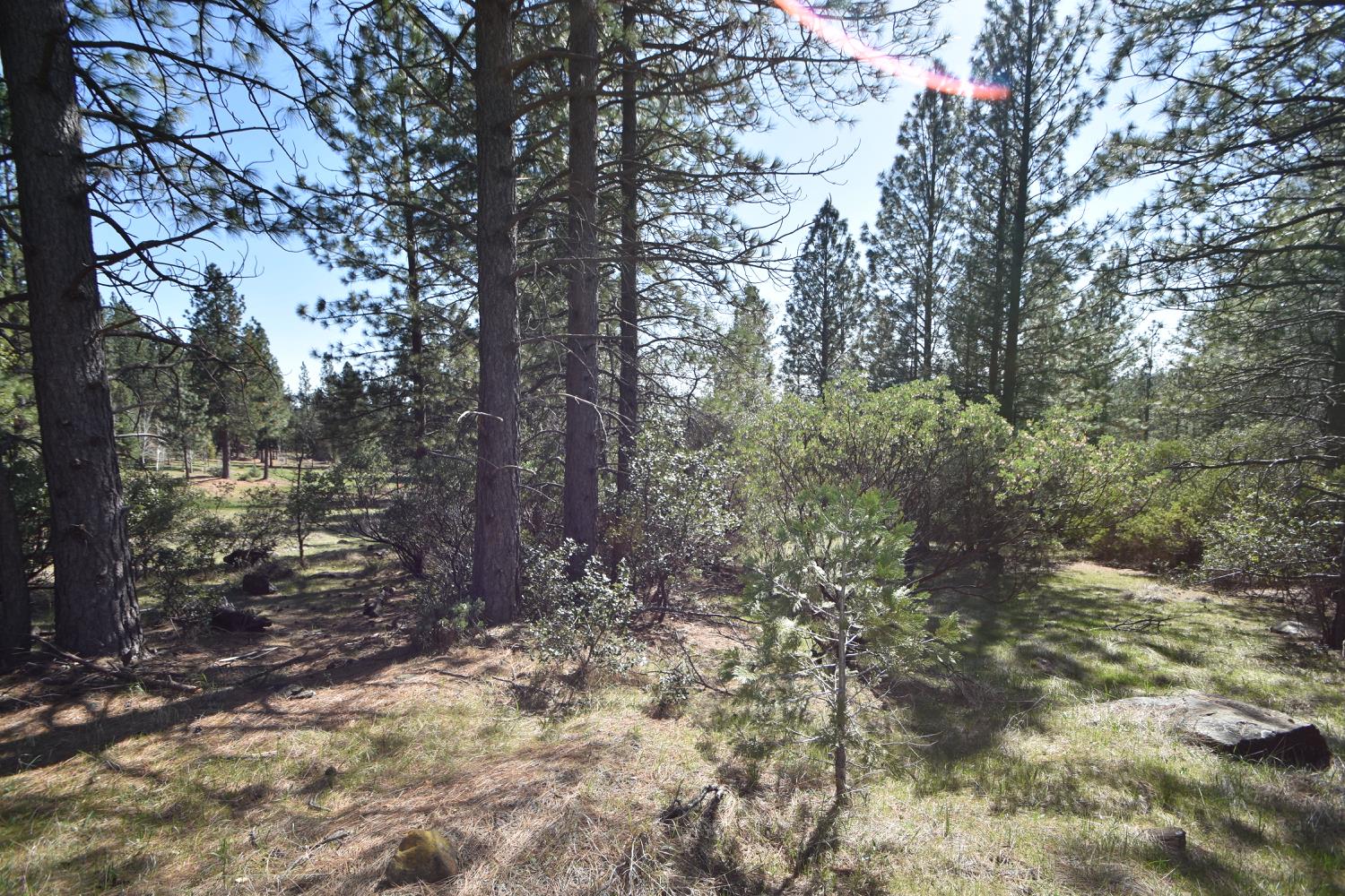 Provenza Drive, Oroville, California image 13