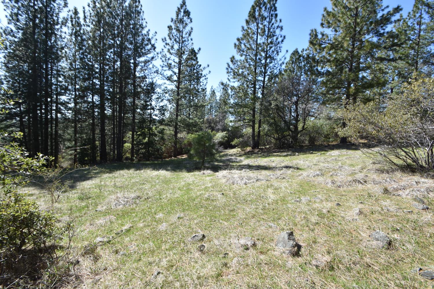 Provenza Drive, Oroville, California image 26