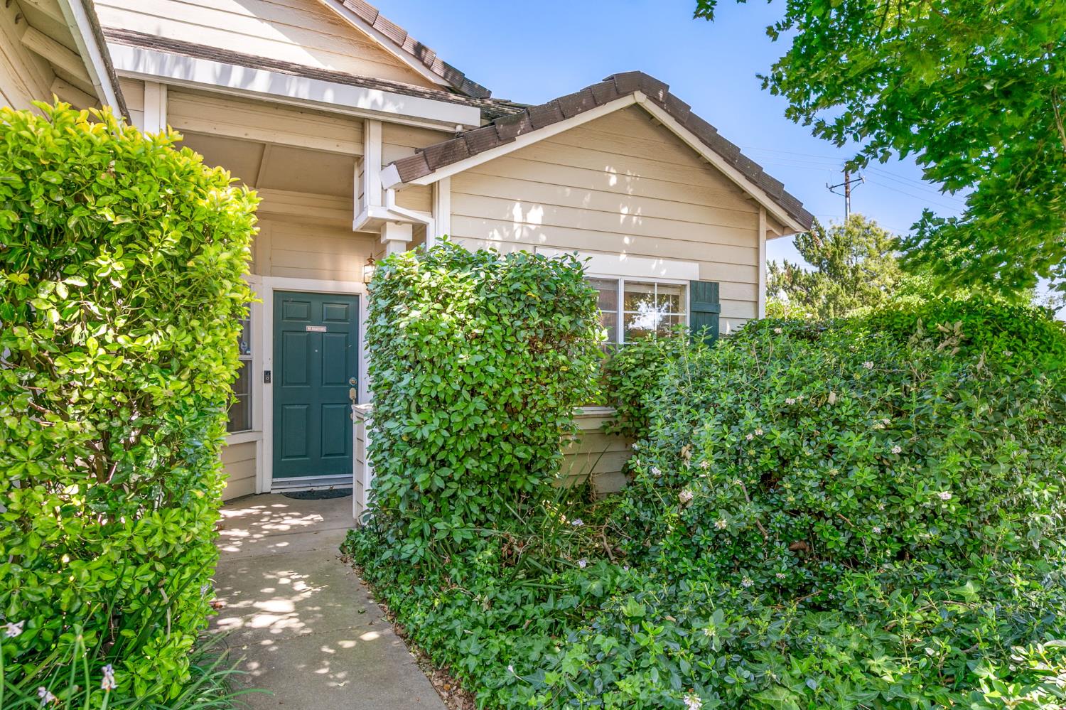 Oleander Drive, Yuba City, California image 6
