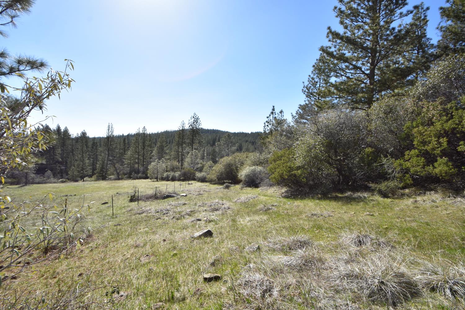 Provenza Drive, Oroville, California image 6