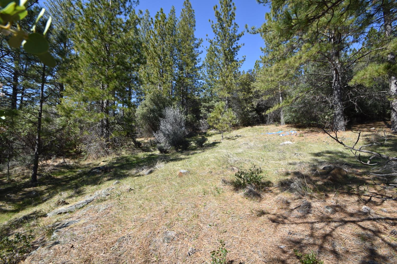 Provenza Drive, Oroville, California image 37