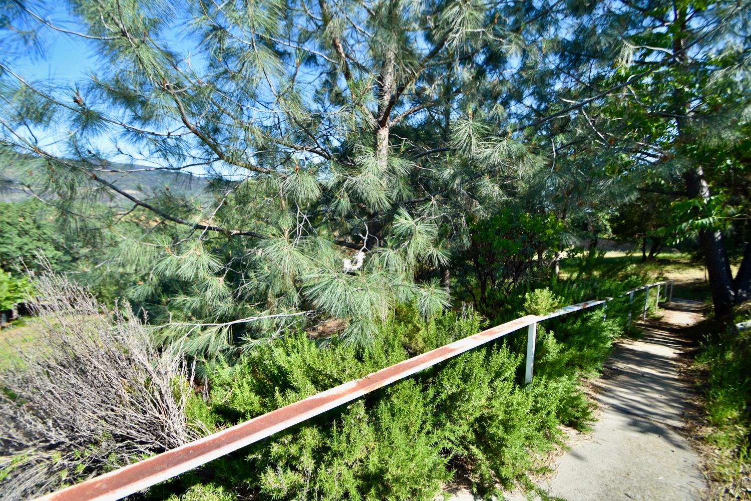 Jack Hill Drive, Oroville, California image 8