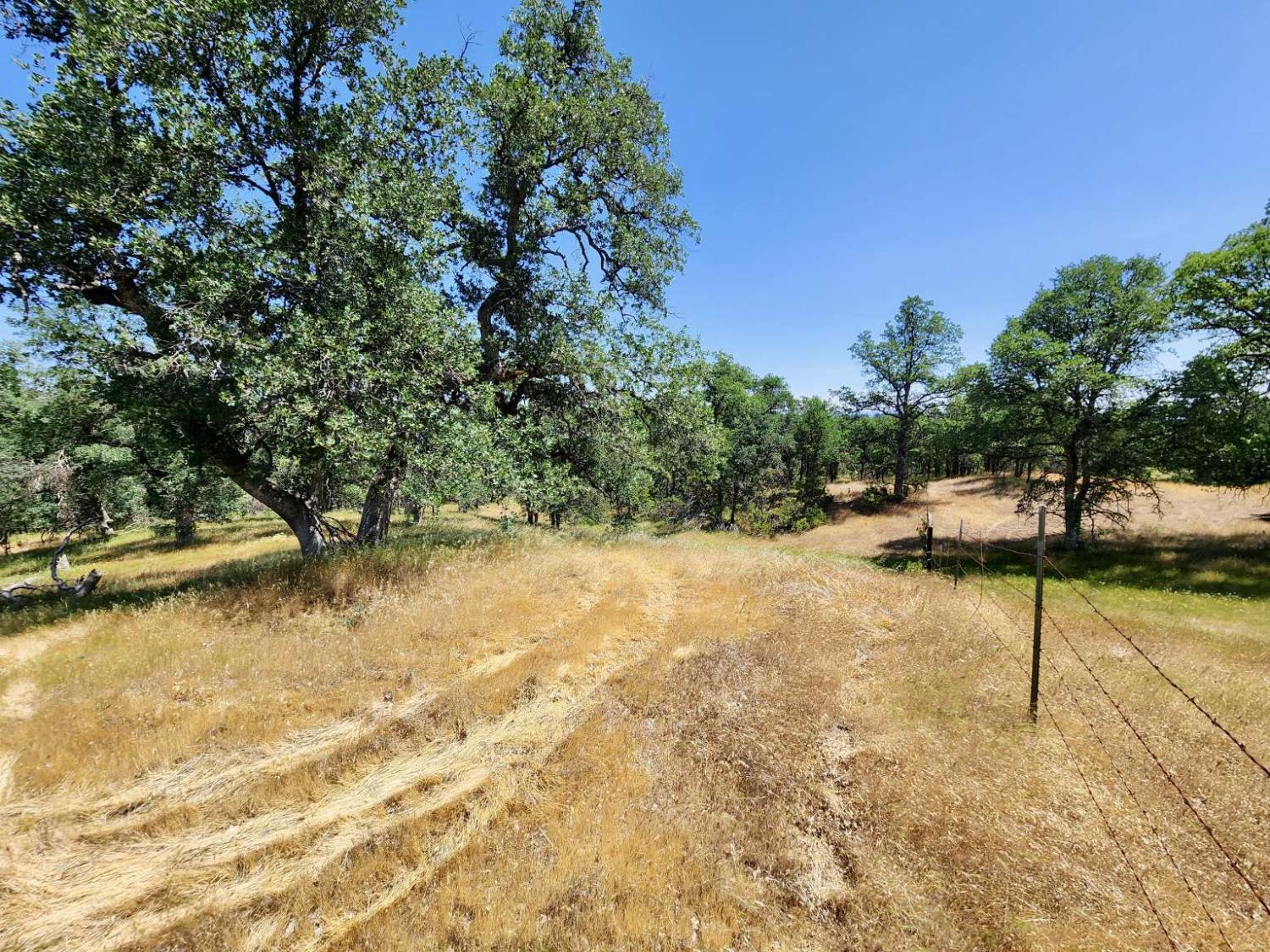 Two Feathers Road, Cottonwood, California image 15