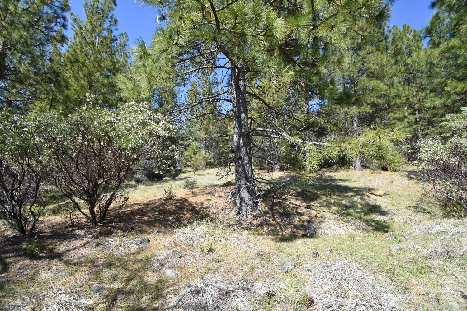 Provenza Drive, Oroville, California image 39
