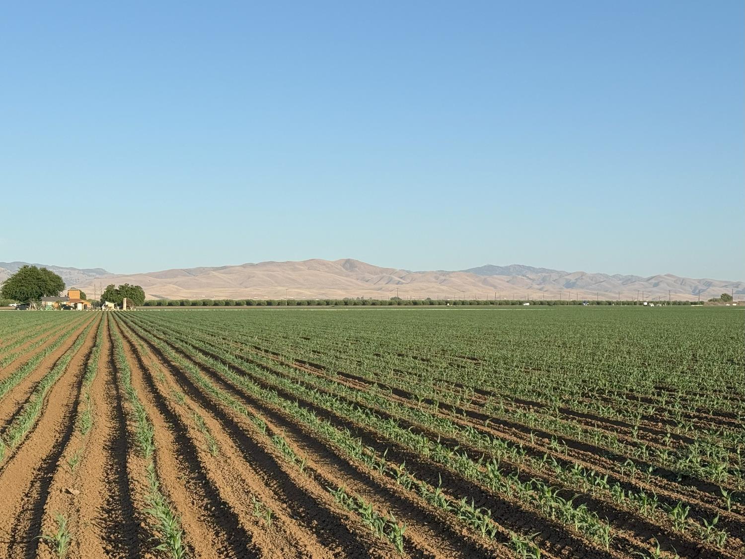 Ca-33, Crows Landing, California image 29