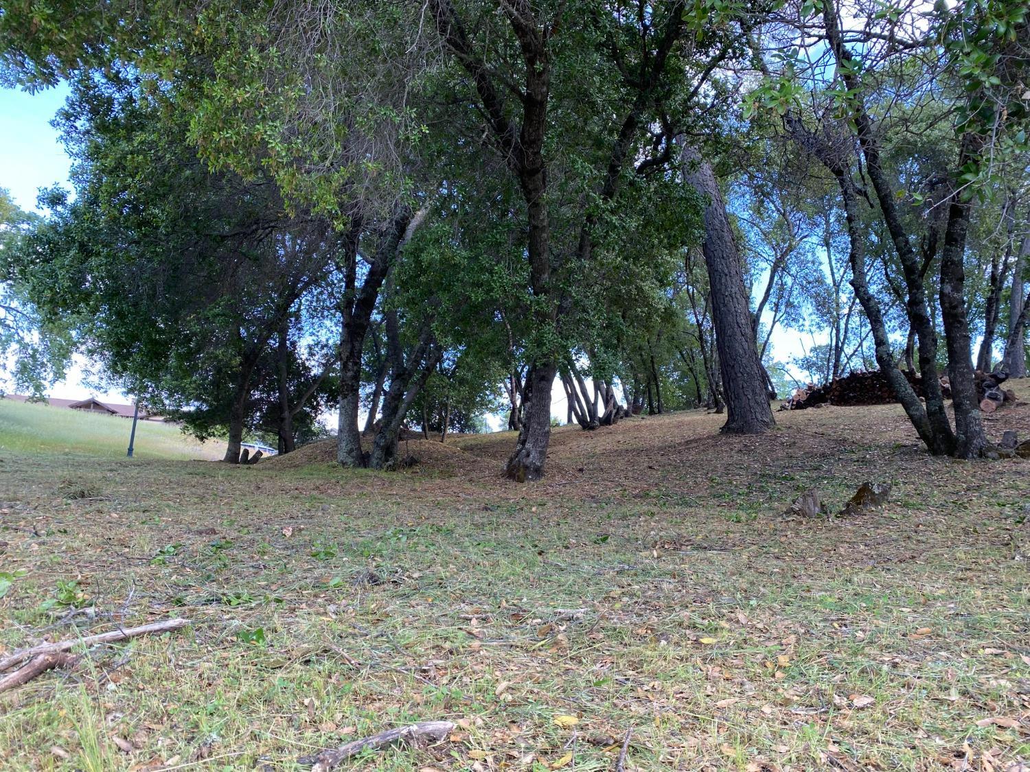 Mill Court, Angels Camp, California image 13