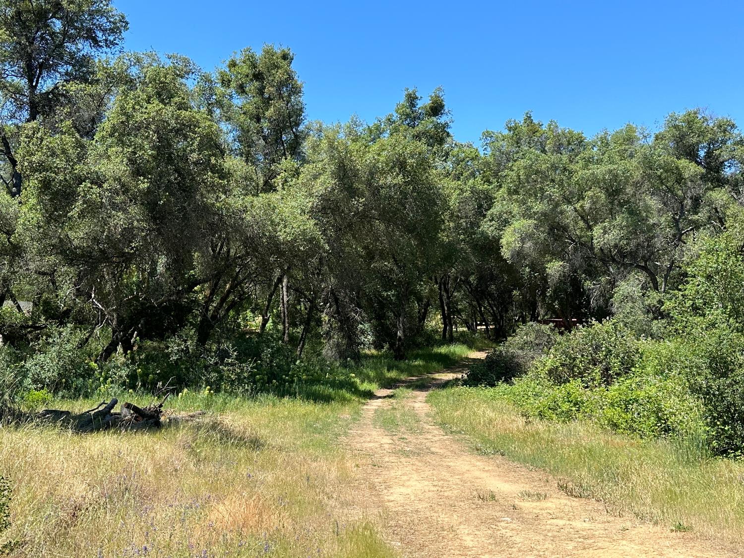 Perimeter Road, Grass Valley, California image 16