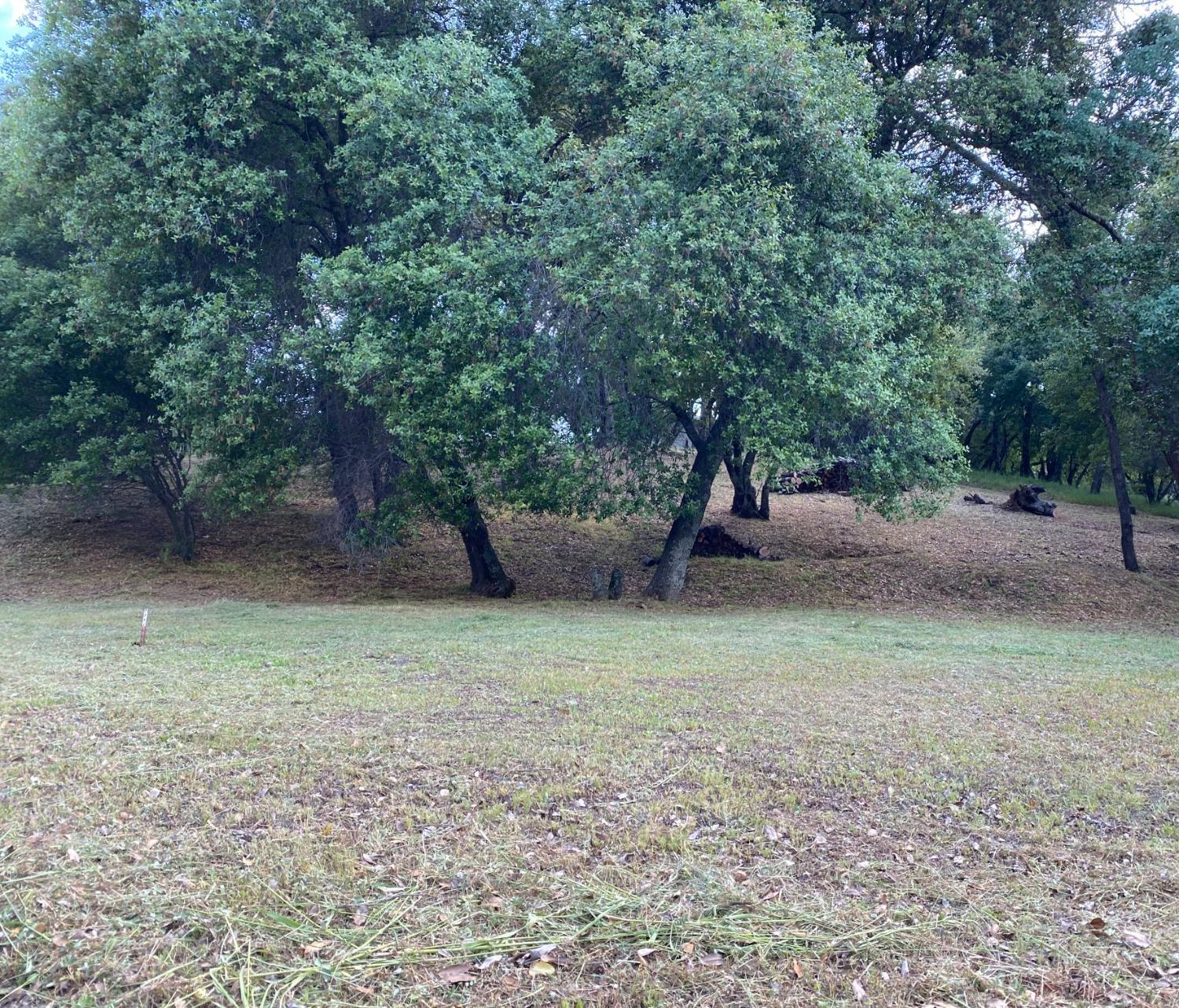 Mill Court, Angels Camp, California image 10