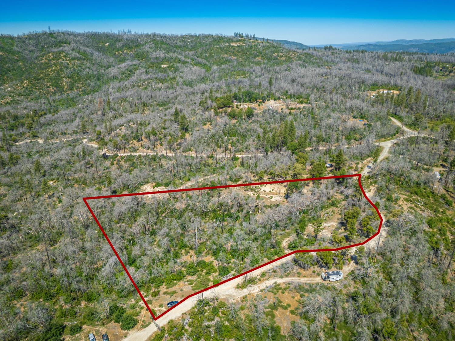 Possum Lane, Berry Creek, California image 19