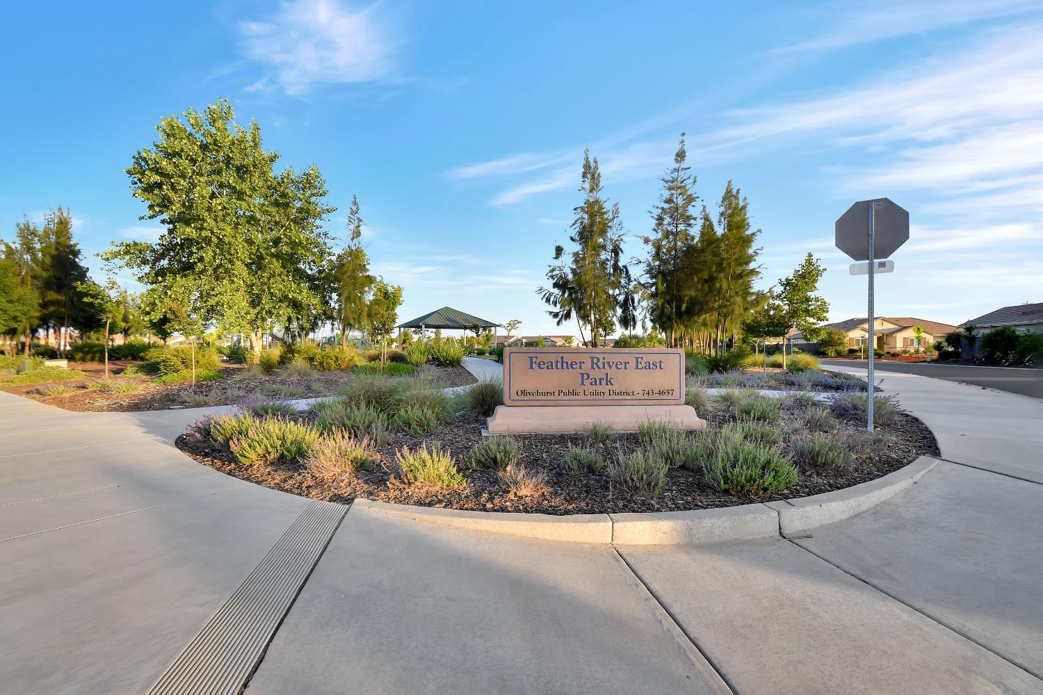 Gatlin Court, Plumas Lake, California image 36
