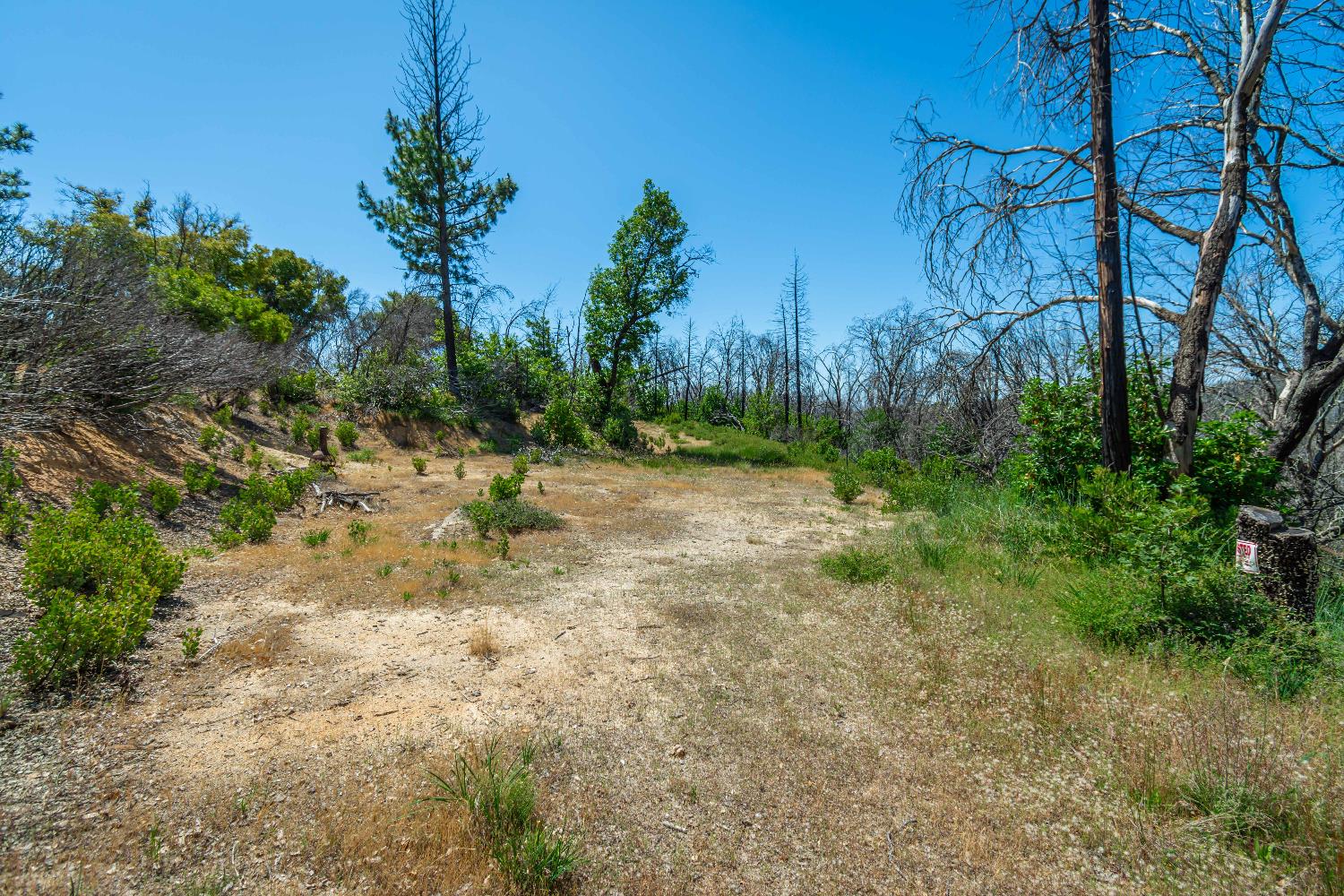 Detail Gallery Image 53 of 64 For 0 Possum Ln, Berry Creek,  CA 95916 - – Beds | – Baths