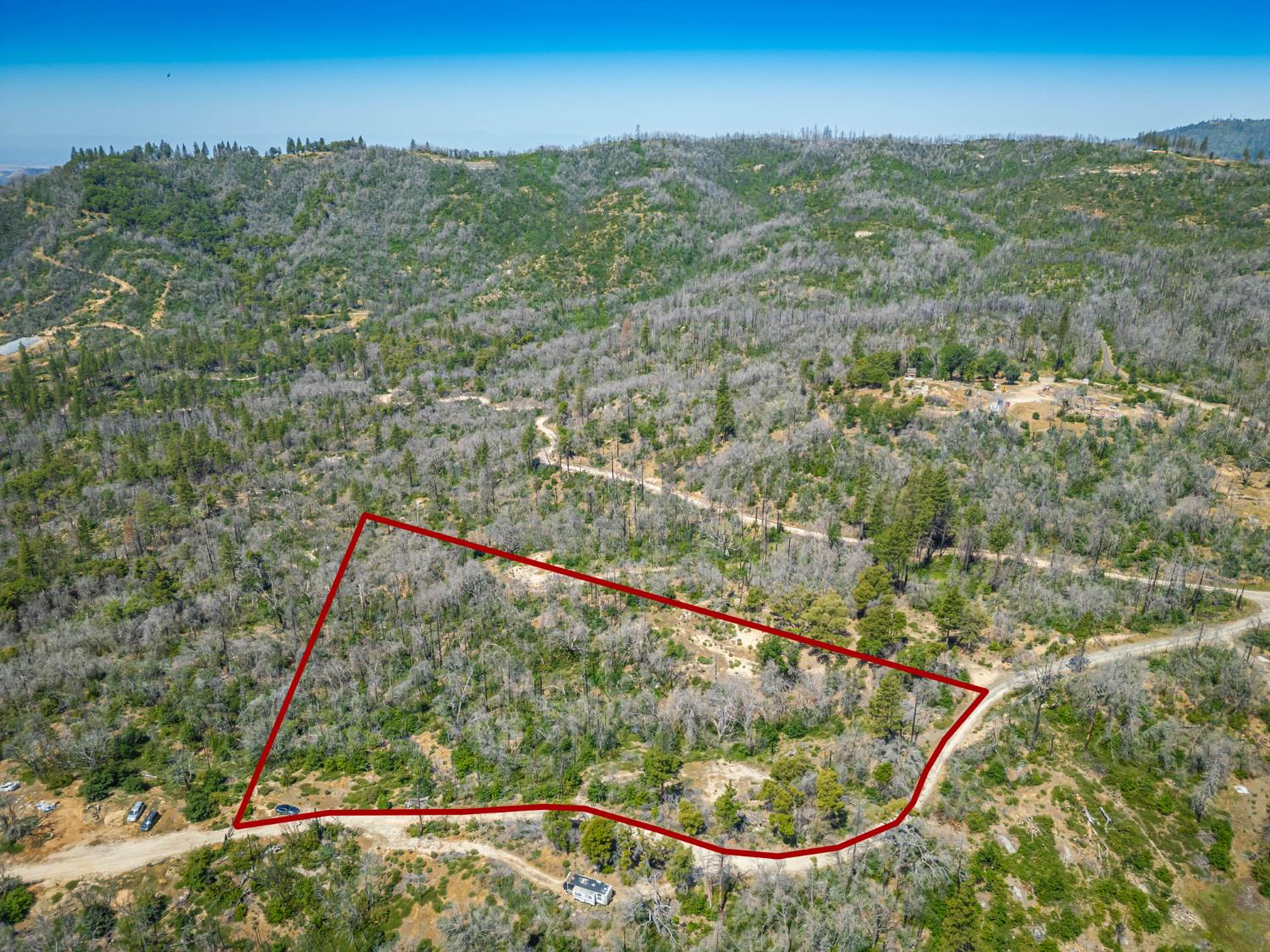 Possum Lane, Berry Creek, California image 21
