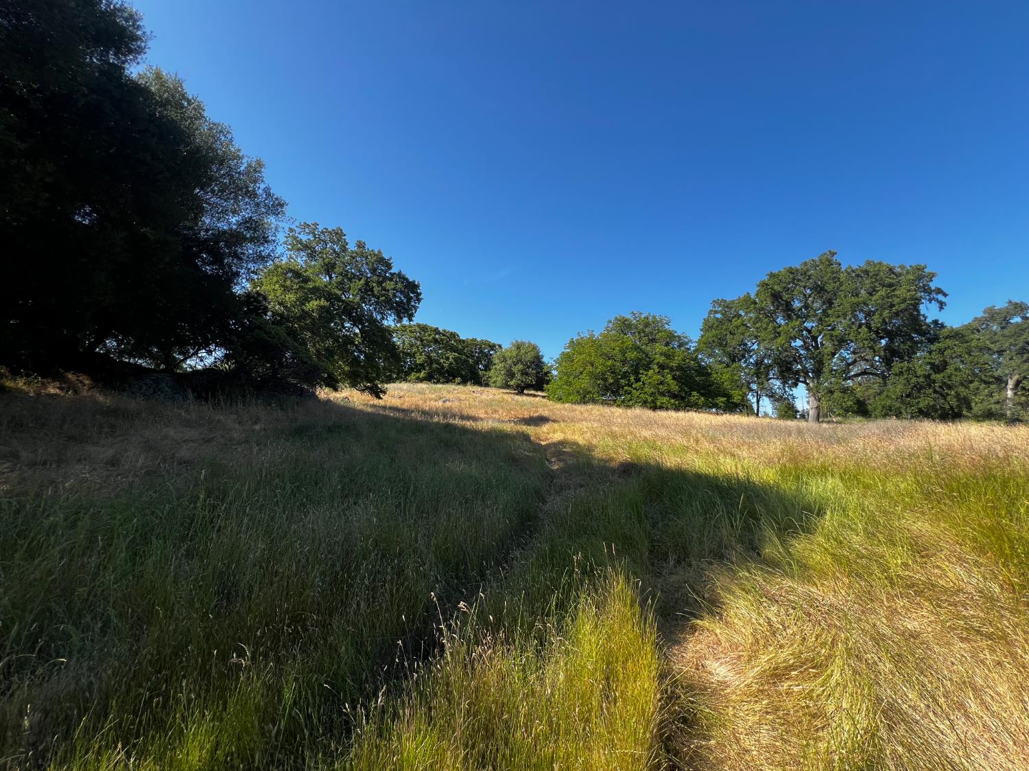 La Mesa Lane, Somerset, California image 24
