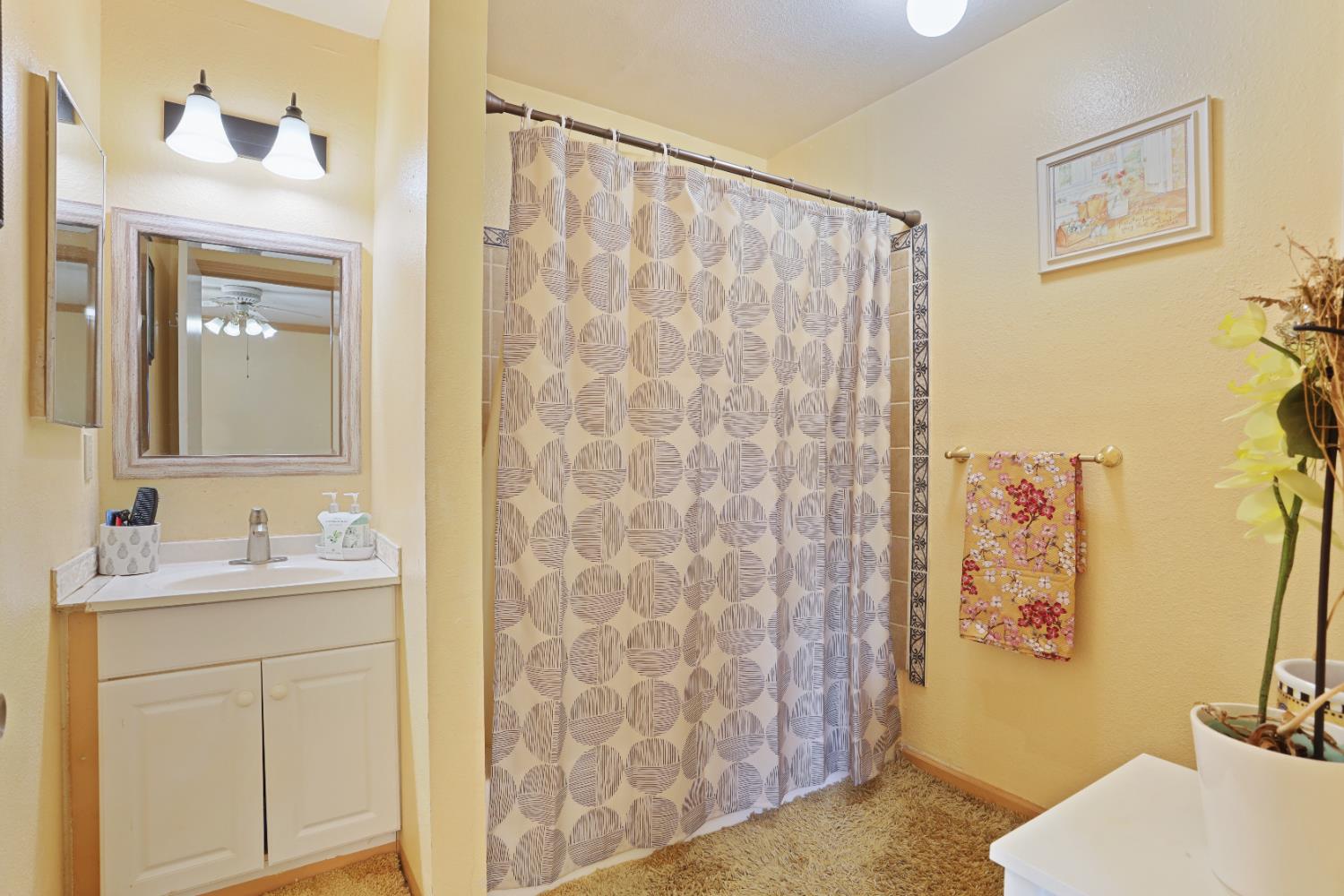 Chinquapin Drive, Modesto, California image 26
