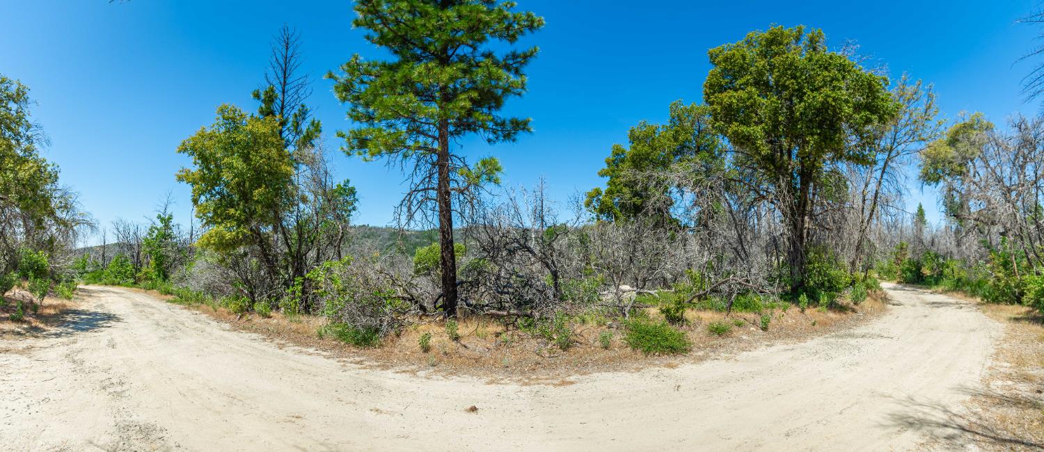 Possum Lane, Berry Creek, California image 43