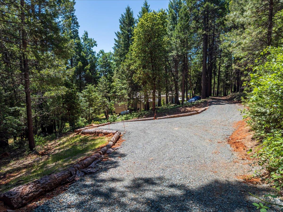 Wings Of Morning Drive, Nevada City, California image 43