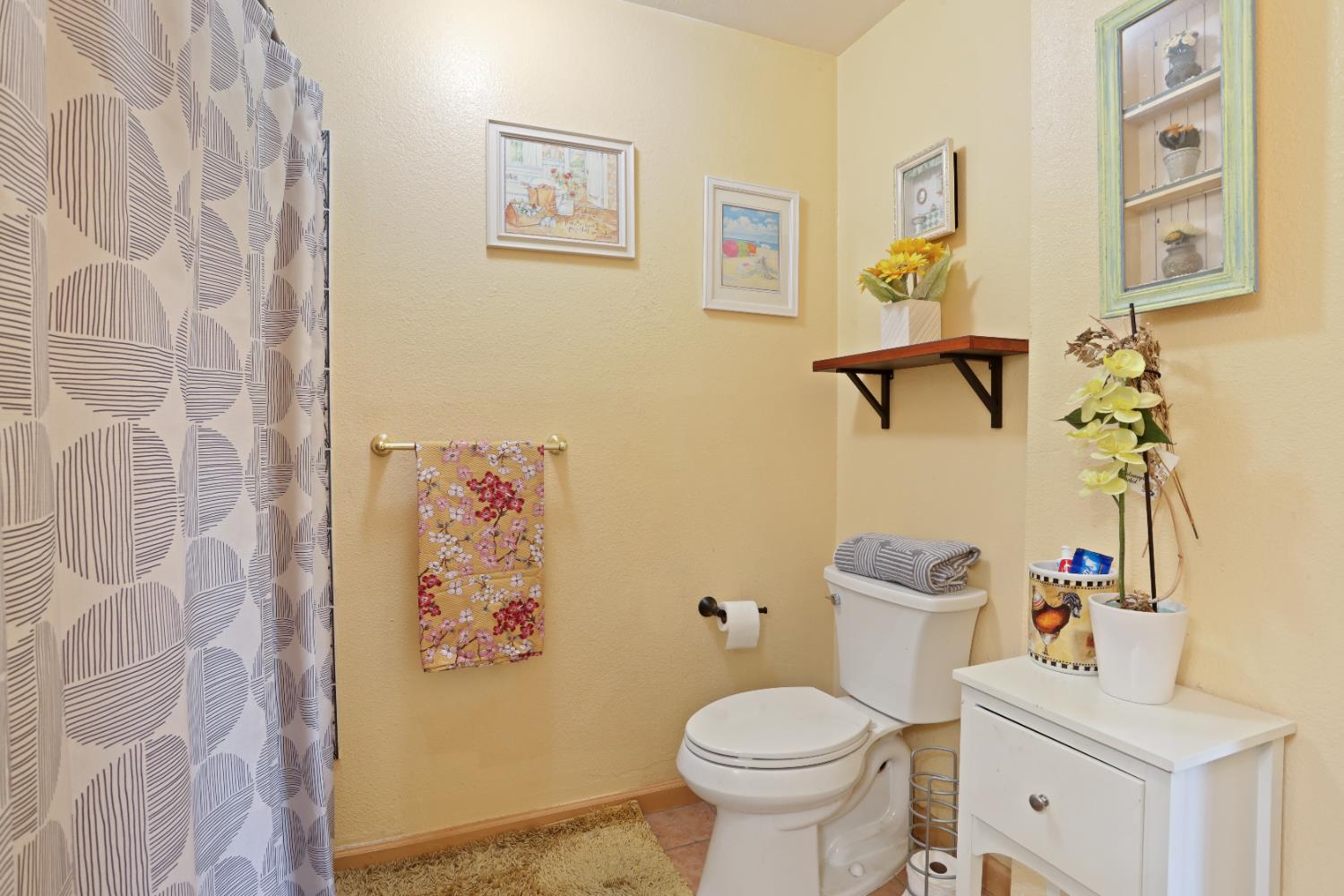 Chinquapin Drive, Modesto, California image 27