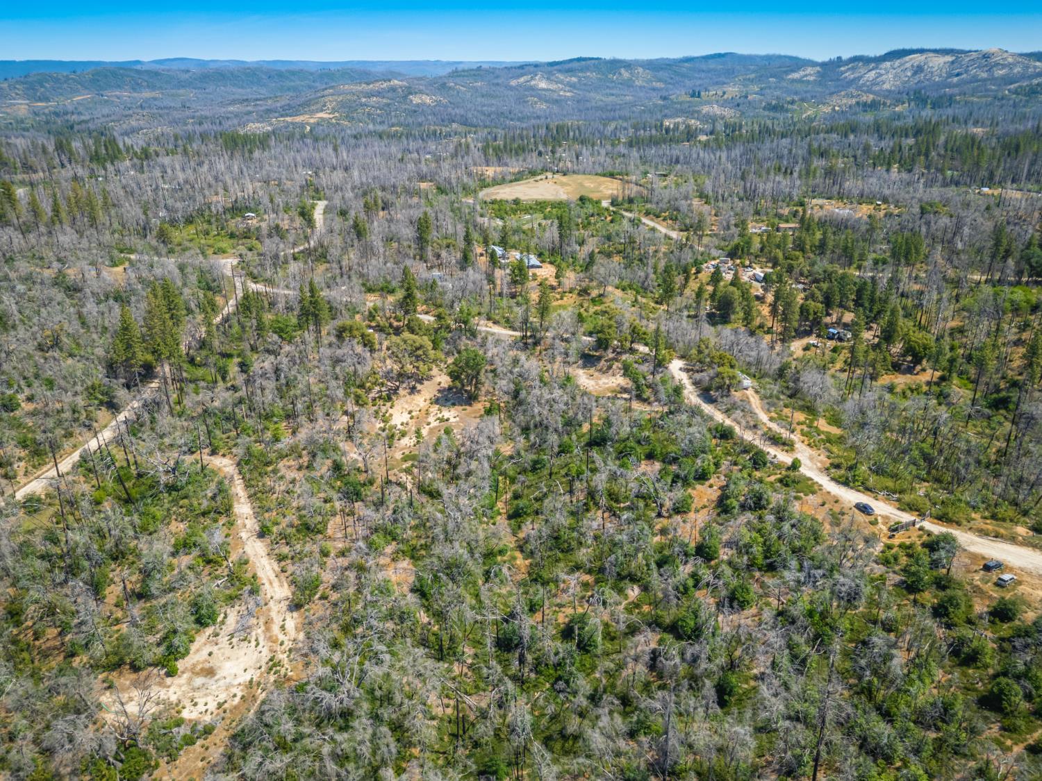Possum Lane, Berry Creek, California image 4